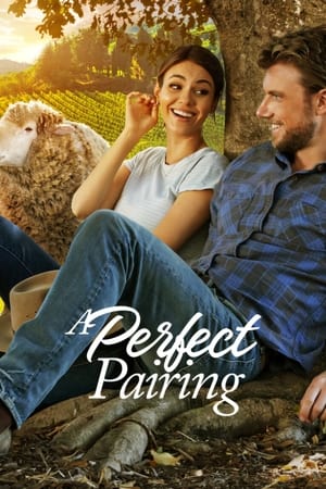 A Perfect Pairing (2022) Hindi Dual Audio HDRip 720p – 480p - Movierulz