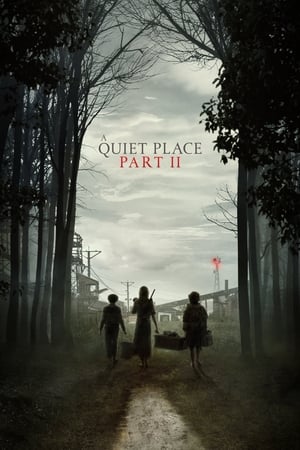 A Quiet Place Part II (2021) Hindi Dual Audio 720p HDRip [1.1GB] - Movierulz