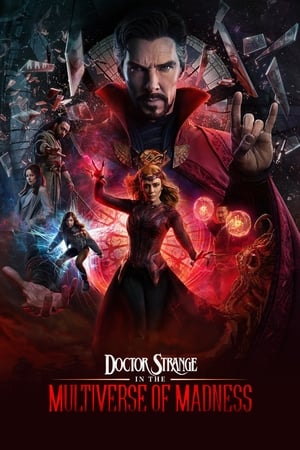 Doctor Strange in the Multiverse of Madness (2022) Hindi (ORG) Dual Audio Web-DL 720p -480p - Movierulz