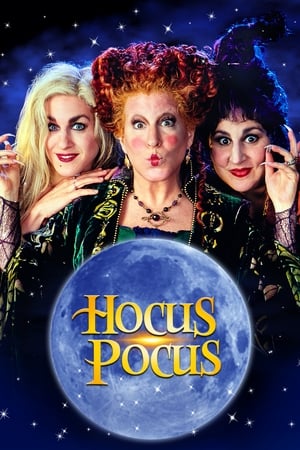 Hocus Pocus 1993 Hindi Dual Audio 720p BluRay [850MB] - Movierulz