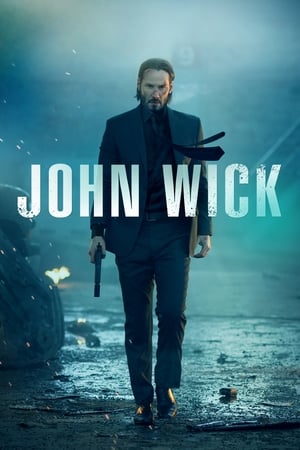 John Wick (2014) Hindi Dual Audio 480p BluRay 300MB ESubs - Movierulz