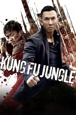 Kung Fu Jungle (2014) Hindi Dual Audio 720p BluRay [800MB] - Movierulz