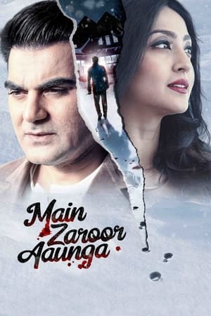 Main Zaroor Aaunga 2019 Hindi Movie 720p HDRip x264 [670MB] - Movierulz