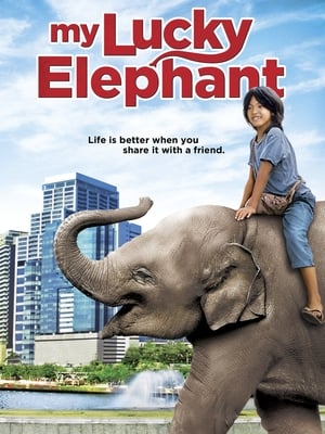 My Lucky Elephant 2013 300MB Dual Audio Hindi 480p WEBRip Download - Movierulz