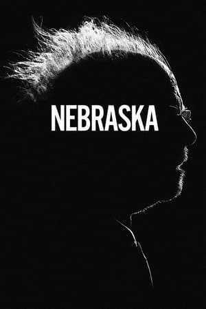 Nebraska 2013 Dual Audio Hindi Movie 720p BluRay - 1GB - Movierulz