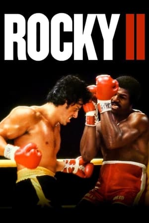 Rocky II (1979) Dual Audio Hindi 480p Bluray 400MB - Movierulz