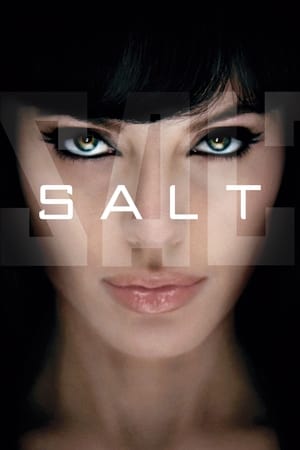 Salt (2010) Hindi Dual Audio 720p BluRay [800MB] - Movierulz