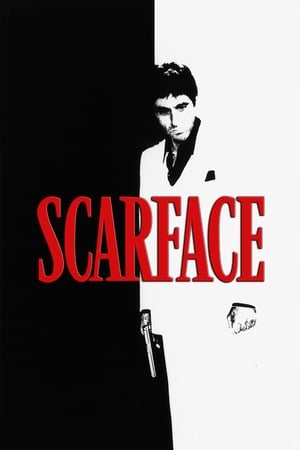 Scarface (1983) Dual Audio Hindi Movie 720p BluRay - 1.4GB - Movierulz