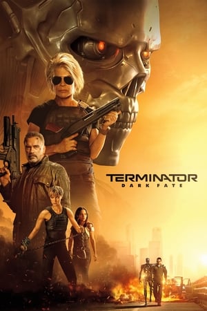 Terminator: Dark Fate (2019) Hindi (Org) Dual Audio 480p BluRay 400MB - Movierulz