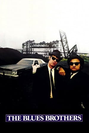 The Blues Brothers (1980) Hindi Dual Audio 480p BluRay 450MB ESubs - Movierulz