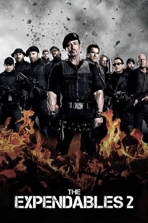 The Expendables 2 (2012) 100mb Hindi Dual Audio movie Hevc BRRip Download - Movierulz
