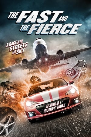 The Fast and the Fierce 2017 Hindi Dual Audio 720p BluRay [900MB] - Movierulz