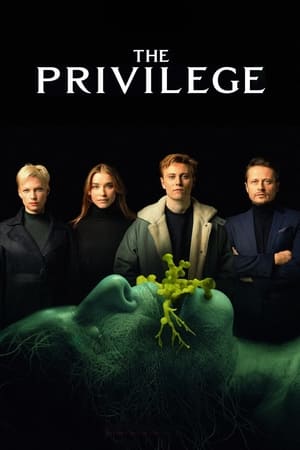 The Privilege (2022) Hindi Dual Audio HDRip 720p – 480p - Movierulz
